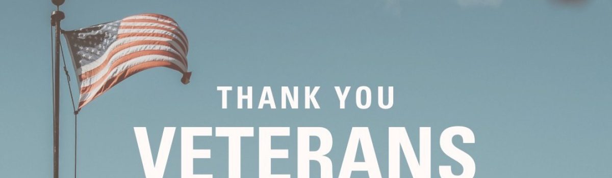 NOVEMBER 11 IS VETERANS DAY